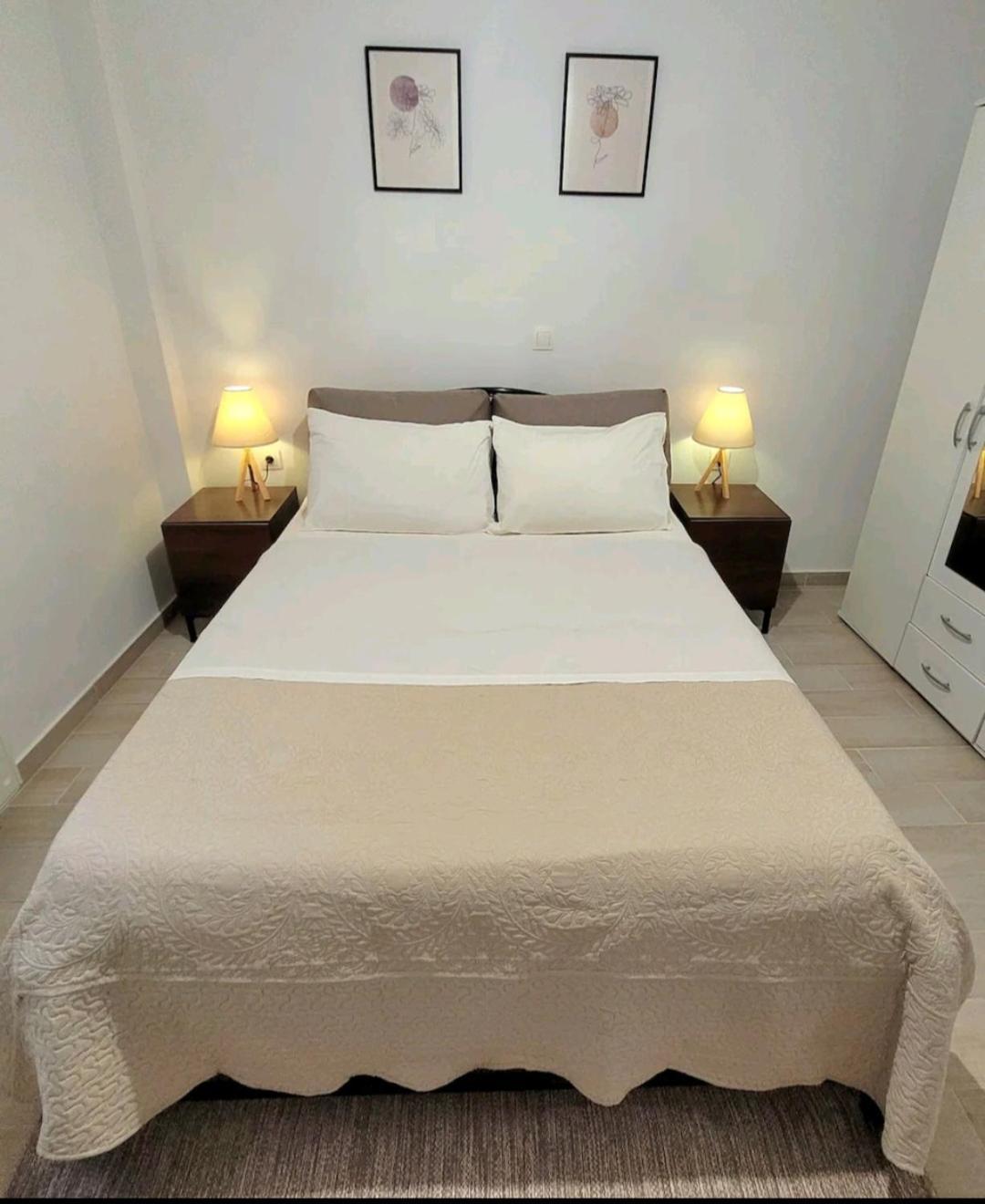 Center River Apartment Florina Extérieur photo