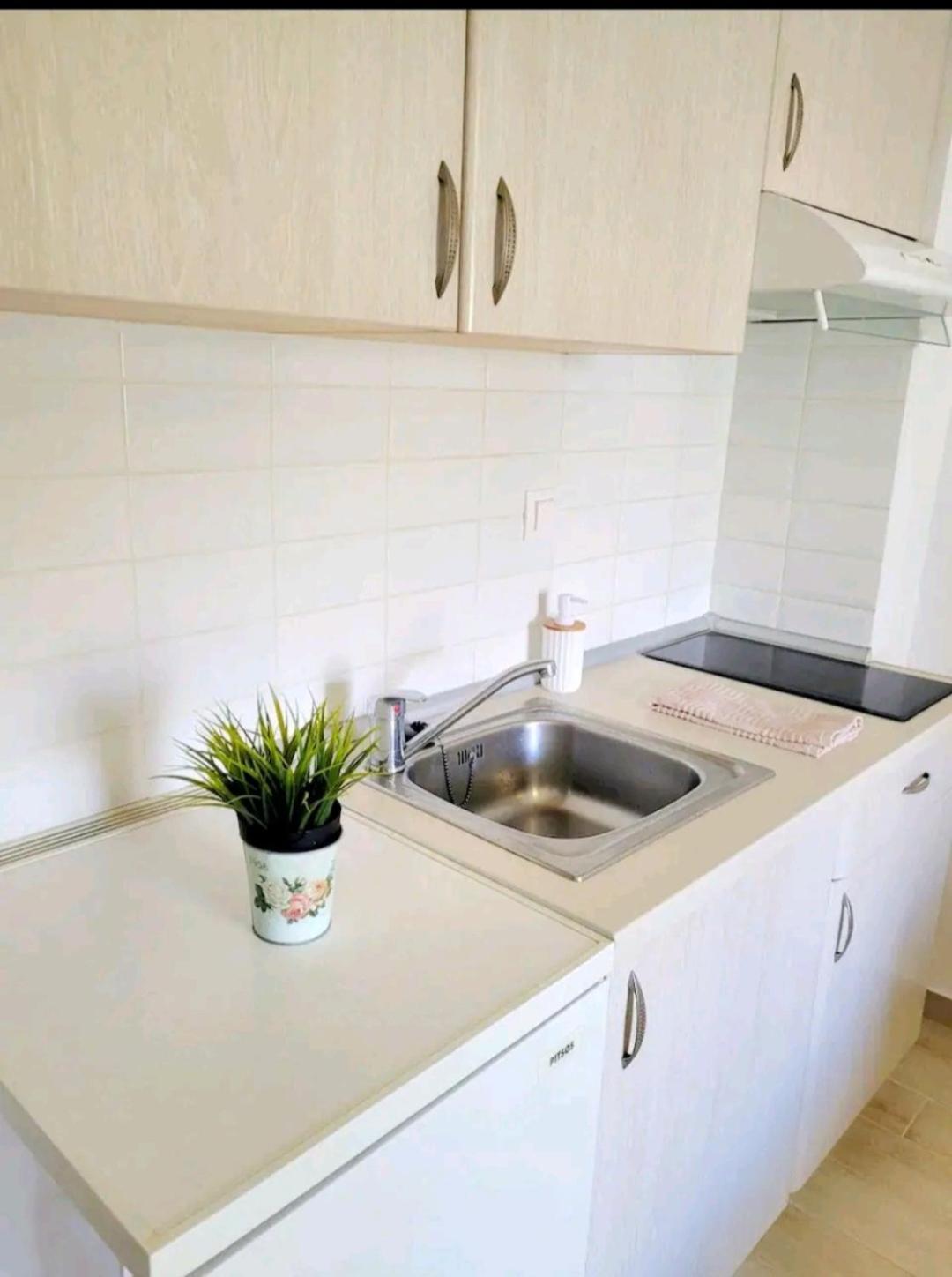 Center River Apartment Florina Extérieur photo