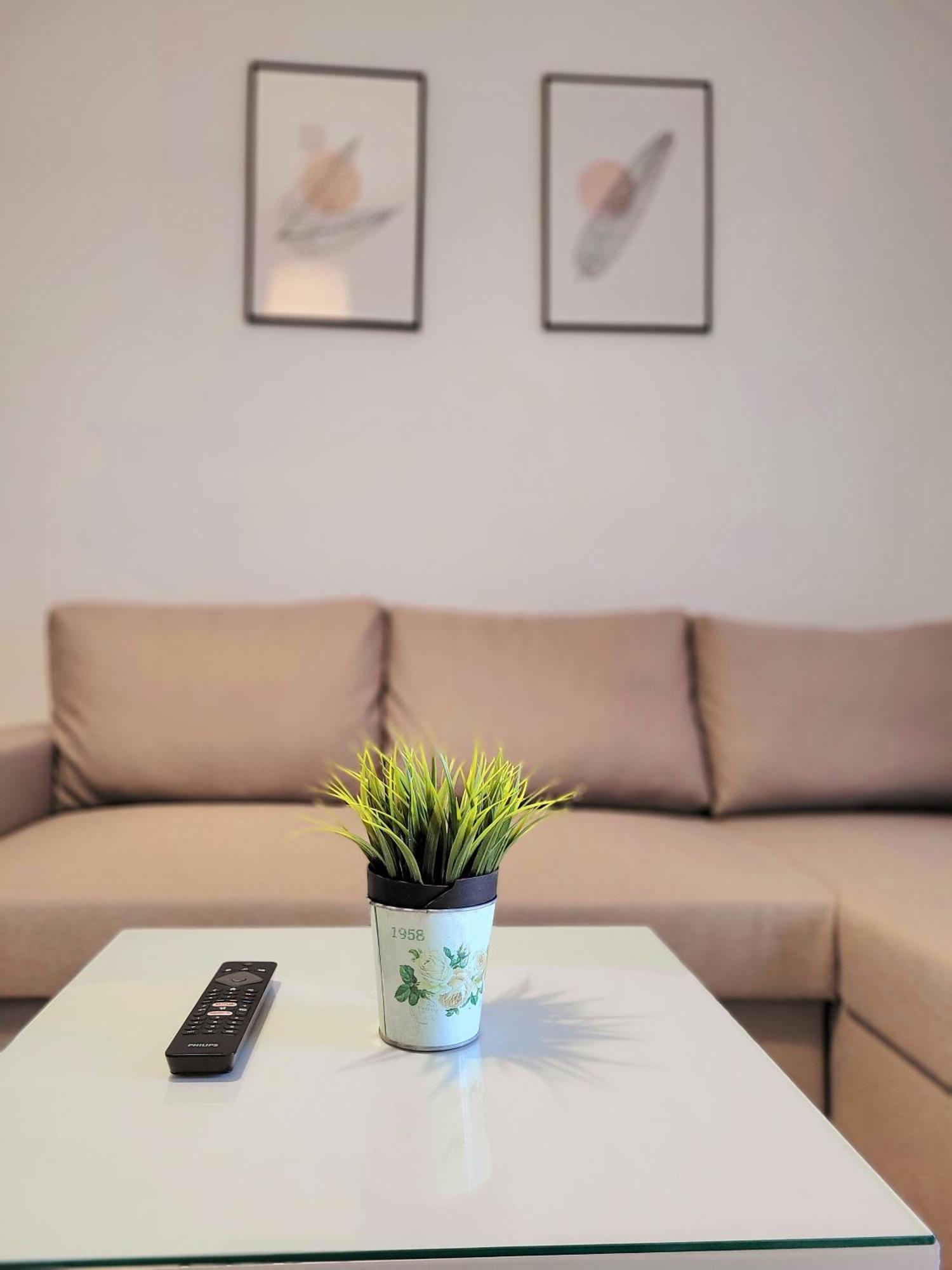 Center River Apartment Florina Extérieur photo