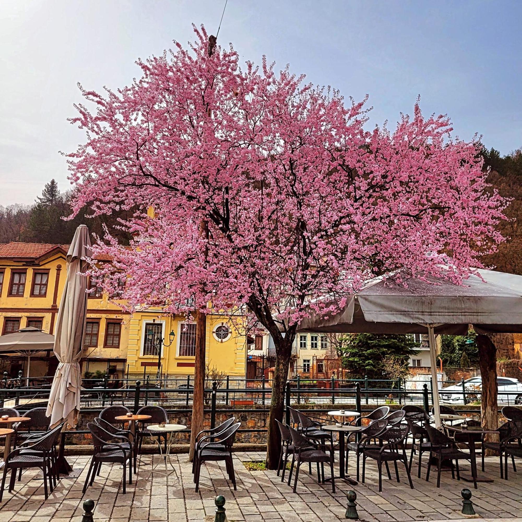 Center River Apartment Florina Extérieur photo